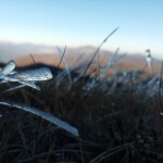 Sur les pentes du Tarbesou...