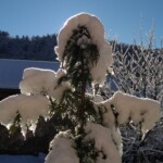 Croix blanche !