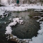 Fleurs de glace