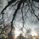 Arbre-main