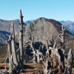Réunion du quatrième âge